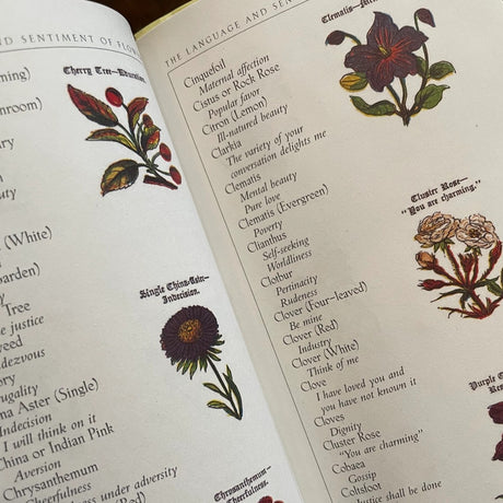 Open book with floral illustrations and text on a white background