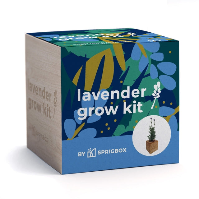 A square lavender grow kit box by Sprigbox, featuring a colorful front panel with blue, green, and yellow botanical illustrations, white text reading 'lavender grow kit,' and a small plant-in-bowl graphic. The left side of the box is natural wood-toned and reads 'lavender grow kit.