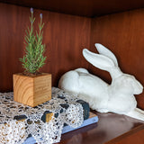 A white ceramic rabbit figurine sits on a wooden shelf next to a small lavender plant in a wooden box planter, with a white lace doily and books in the foreground.