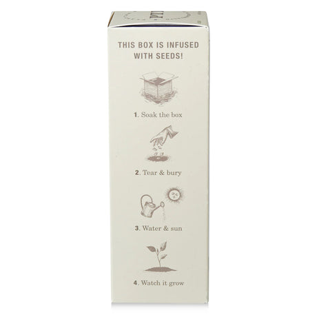 Box with instructions for planting seeds on a white background