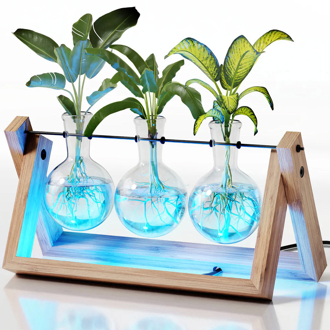 Light Up Bamboo Air Planter - Bulb Style