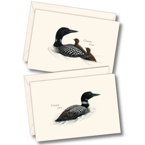 the two notecards in the Loon Notecard Assortment featuring two naturalist illustrations of the Common Loon