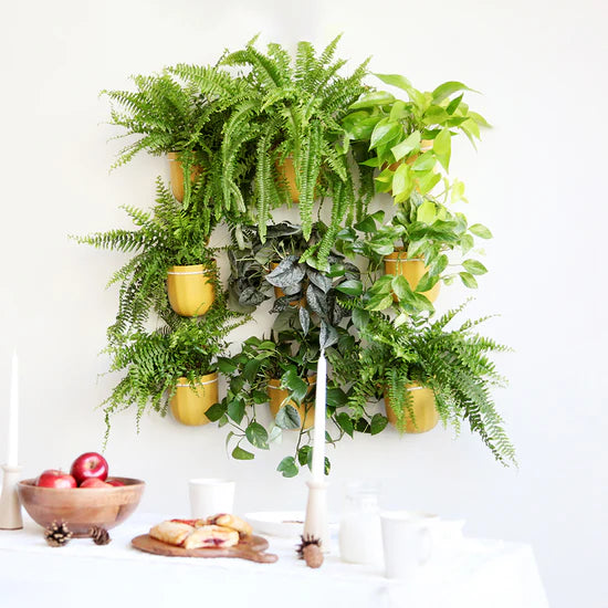 Loop Hanging Planter - 4 colors available