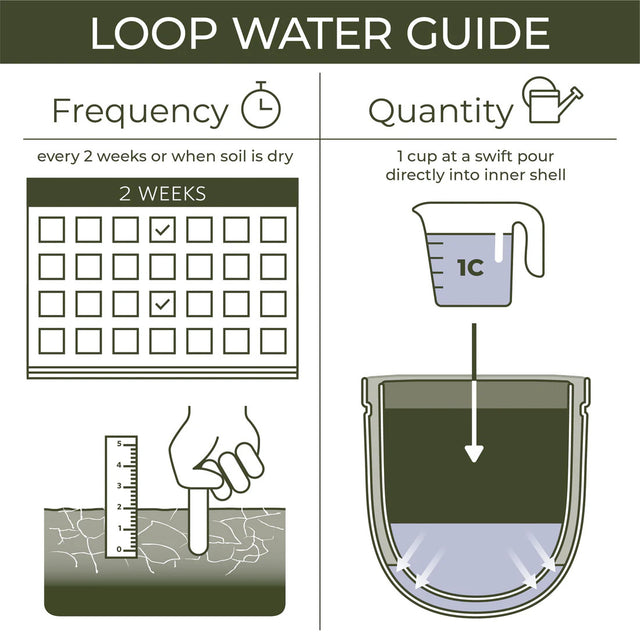 a dark green and gray infographic that shows watering instructions - to water every two weeks, and to pour 1 cup of water into the inner shell