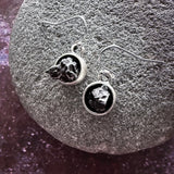 Meteorite Earrings