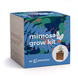 A square product box for the Mimosa Grow Kit by Sprigbox, featuring a colorful tropical leaf pattern on a blue background with a light wood-grain side panel and a small circular image of a potted plant.