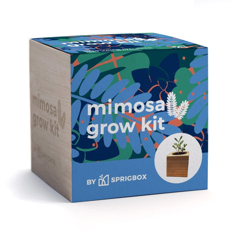 A square product box for the Mimosa Grow Kit by Sprigbox, featuring a colorful tropical leaf pattern on a blue background with a light wood-grain side panel and a small circular image of a potted plant.