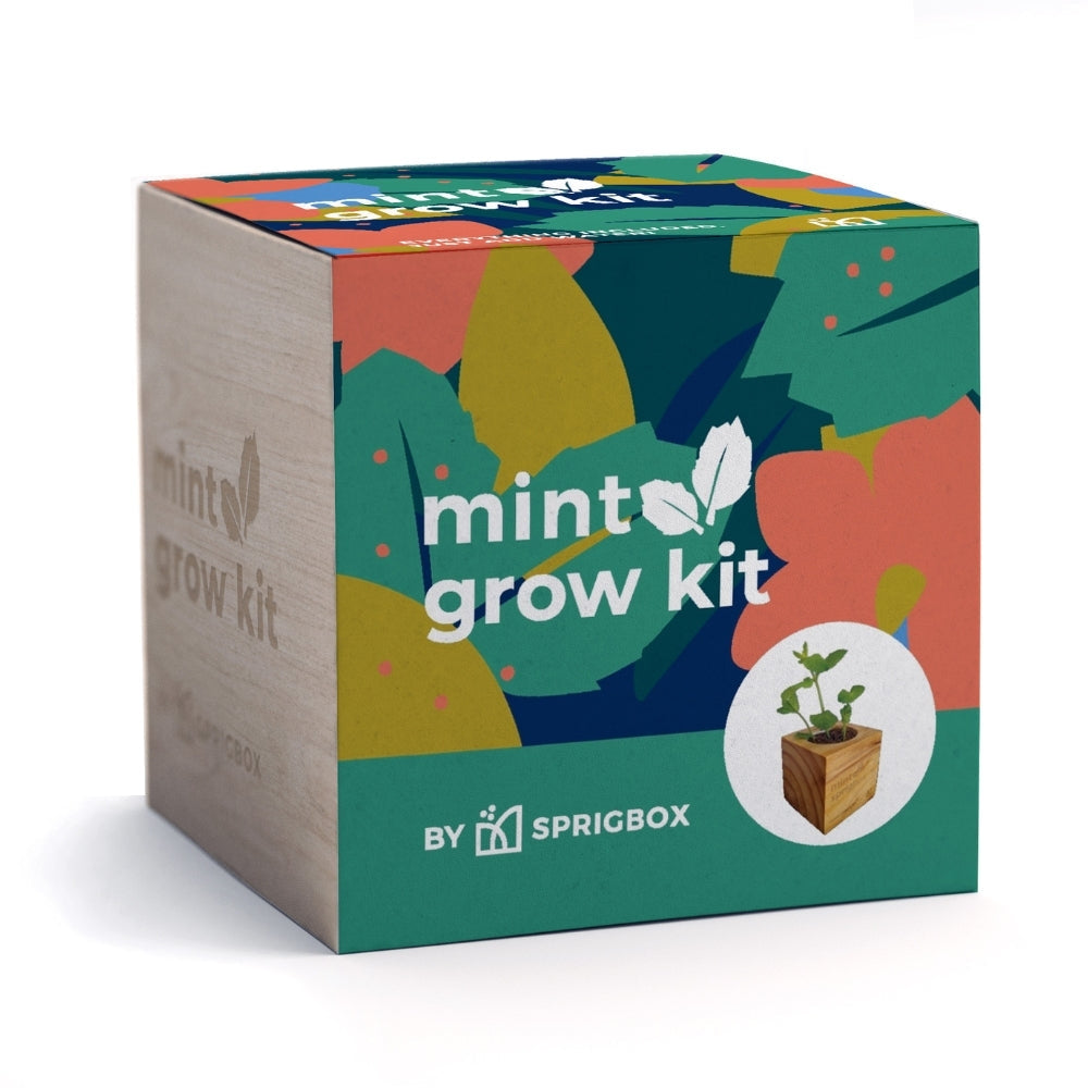 A square product box for a mint grow kit by Sprigbox, featuring a colorful abstract leaf pattern on the top and front panels, with a light wood-toned side panel and a small plant illustration in a pot.
