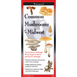 The cover image of Common Mushrooms of the Midwest folding guide featuring a selection of illustrations of mushrooms against a map of the California region.