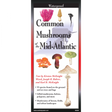 The cover image of Common Mushrooms of the Mid-Atlantic folding guide featuring a selection of illustrations of mushrooms against a map of the Mid-Atlantic US states