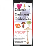 The cover image of Common Mushrooms of the Mid-Atlantic folding guide featuring a selection of illustrations of mushrooms against a map of the Mid-Atlantic US states