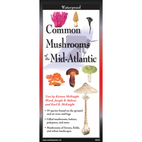 The cover image of Common Mushrooms of the Mid-Atlantic folding guide featuring a selection of illustrations of mushrooms against a map of the Mid-Atlantic US states