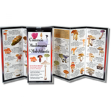 The Common Mushrooms of the Mid-Atlantic folding guide unfolded and upright, accordion style, showing the contents of the guide, which has illustrations and printed information on mushrooms