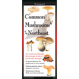 The cover image of Common Mushrooms of the Northeast folding guide featuring a selection of illustrations of mushrooms against a map of the Northeastern US states