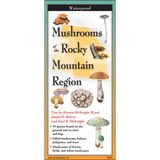 The cover image of Common Mushrooms of the Rocky Mountain Region folding guide featuring a selection of illustrations of mushrooms against a map of the Rocky Mountain Region.