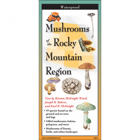 The cover image of Common Mushrooms of the Rocky Mountain Region folding guide featuring a selection of illustrations of mushrooms against a map of the Rocky Mountain Region.