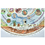 Giclée Art Print - Mushroom Foraging Calendar