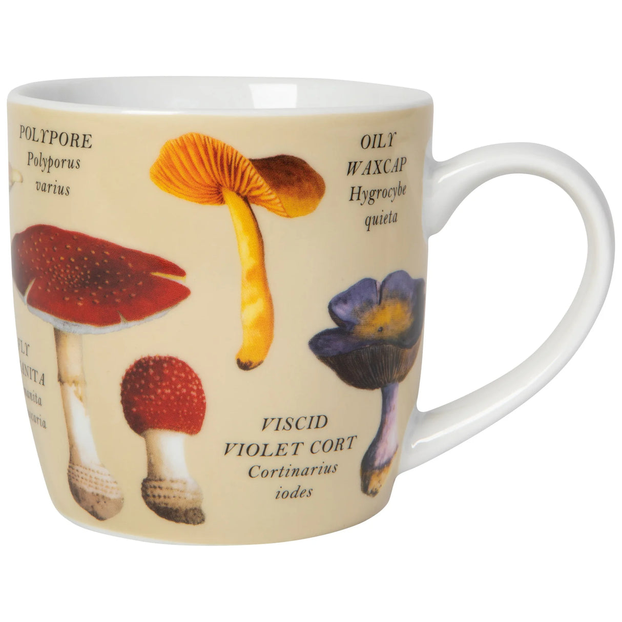 Mushrooms Mug