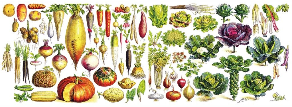 the full wraparound design of the vegetables mug laid flat so it resembles a wide rectangle and shows the entire design