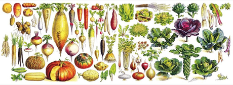 the full wraparound design of the vegetables mug laid flat so it resembles a wide rectangle and shows the entire design