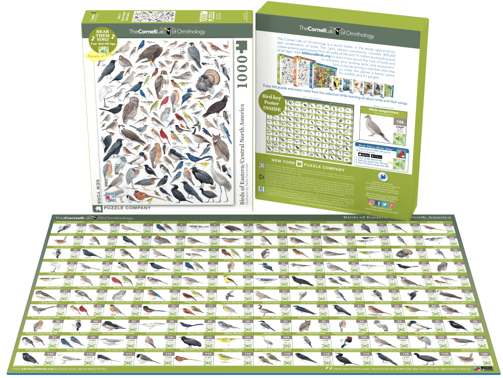 Birds of Eastern and Central North America Jigsaw Puzzle 1000 Piece