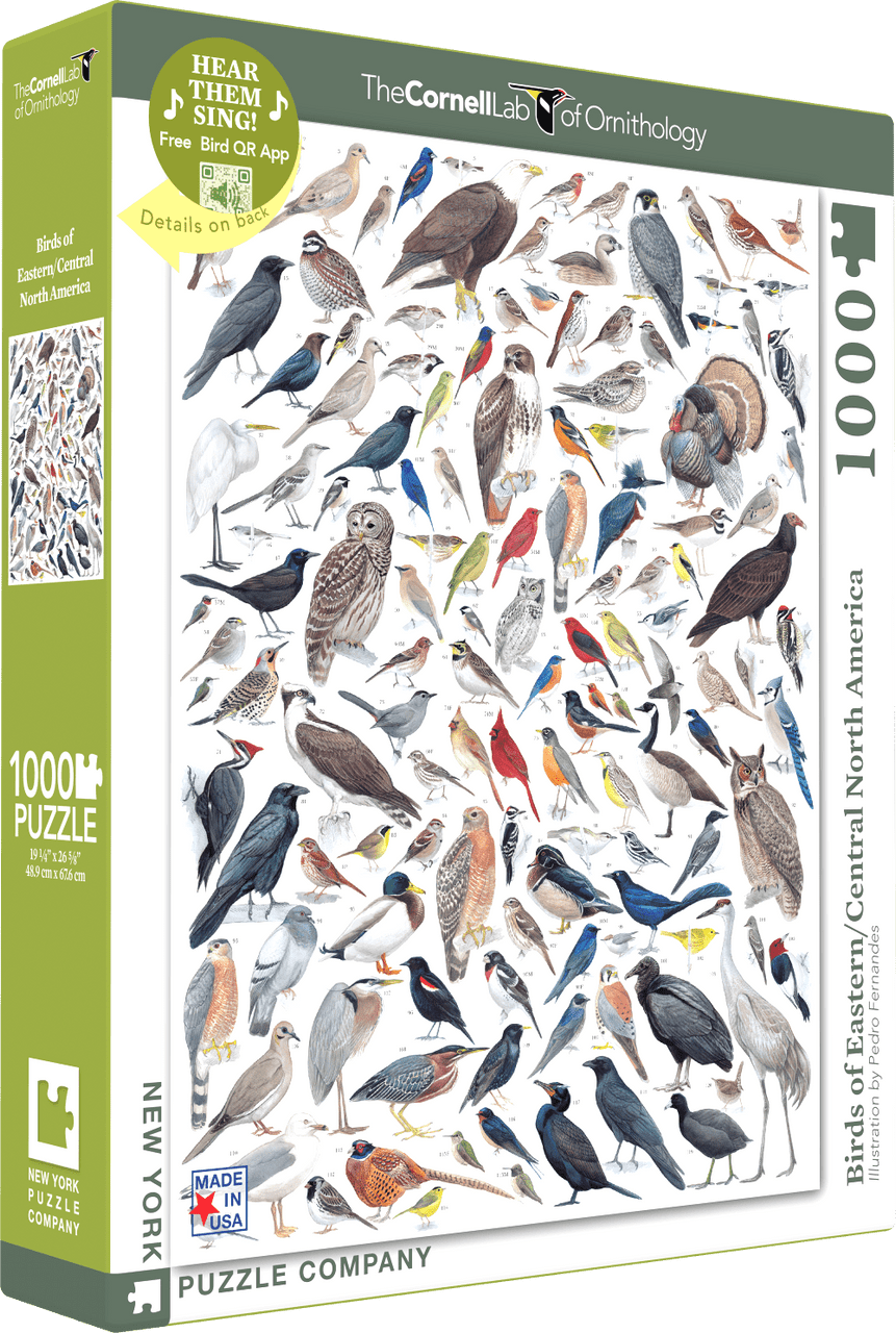 Birds of Eastern and Central North America Jigsaw Puzzle 1000 Piece