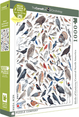 Birds of Eastern and Central North America Jigsaw Puzzle 1000 Piece