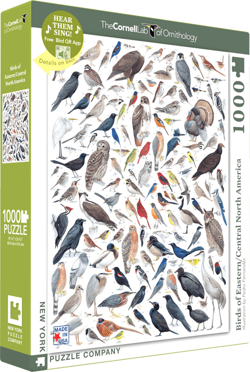 Birds of Eastern and Central North America Jigsaw Puzzle 1000 Piece