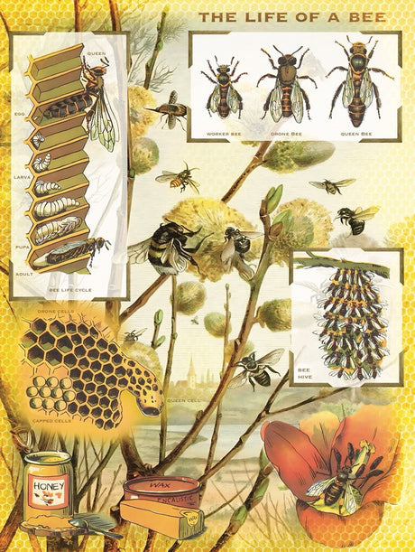 Front cover image up close