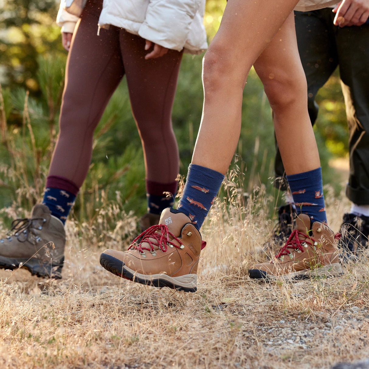 Socks that Protect National Parks Gift Box