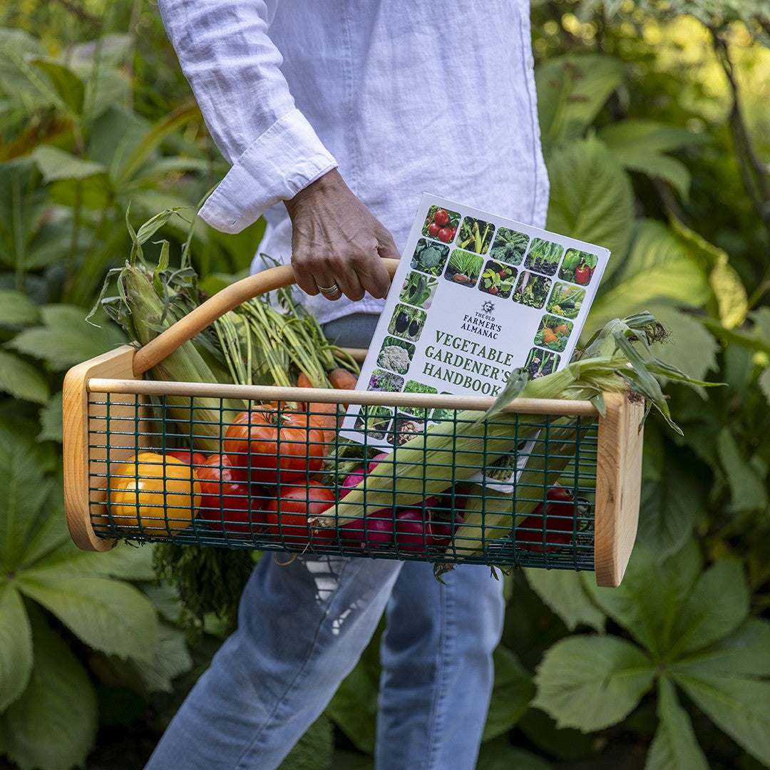 Vegetable Gardener’s Handbook
