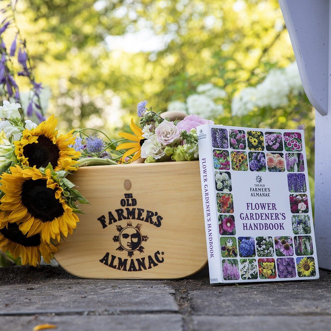 Floral arrangement with 'Old Farmer's Almanac' and 'Flower Gardener's Handbook' on a wooden surface.