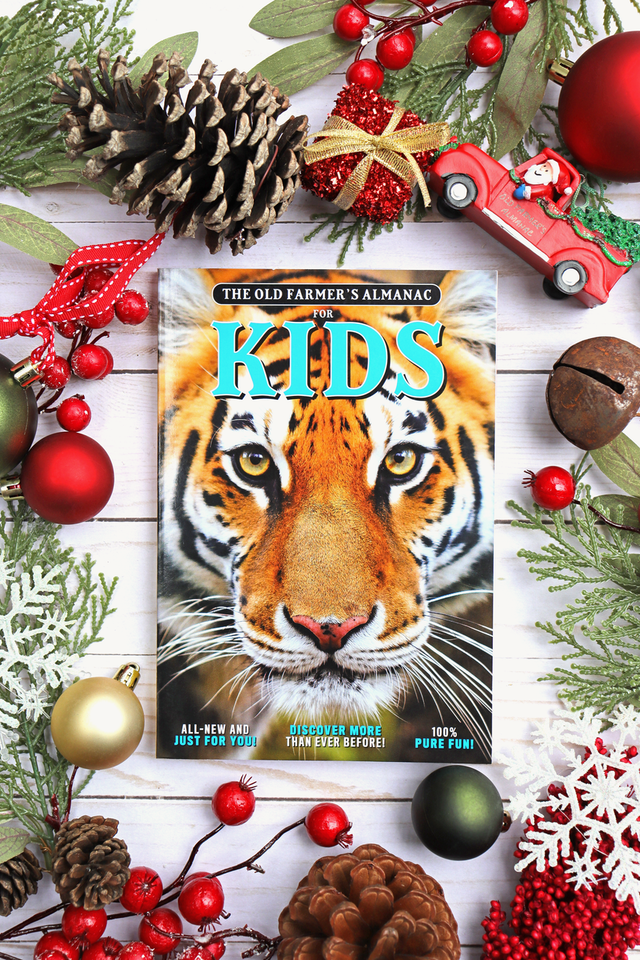 The Old Farmer's Almanac for Kids Volume 9