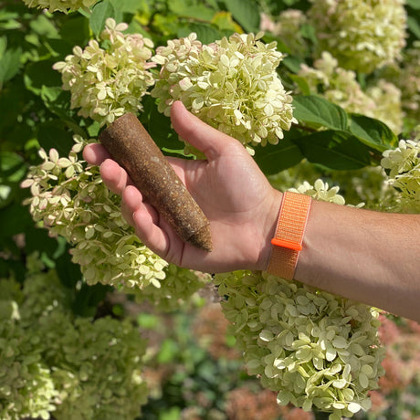 Hand holding a brown cylindrical object in front of green flowers