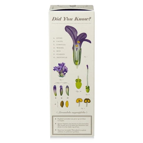 Educational plant diagram packaging with illustrations and text on a white background