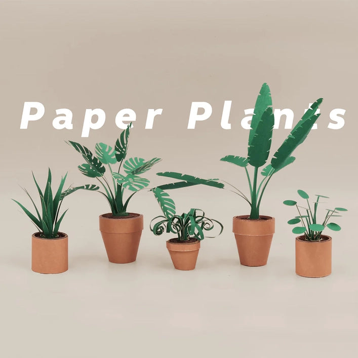 Paper plants in terracotta paper pots on a beige background with 'Paper Plants' text.