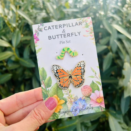 Caterpillar and butterfly pin set on a card held in front of green foliage