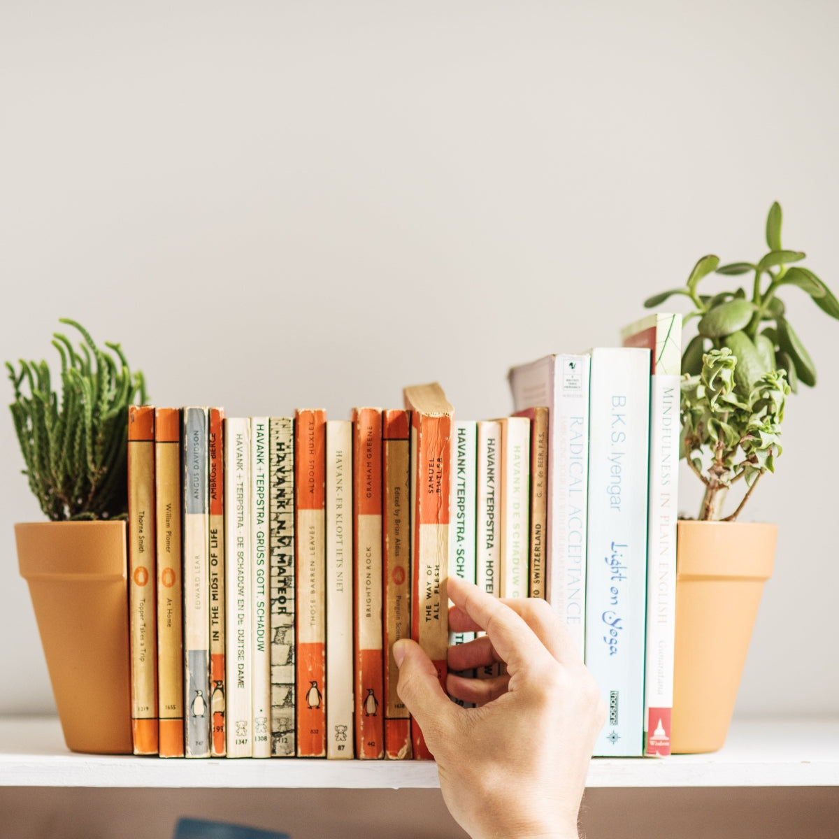 Hand arranging books on a shelf with planter bookends on either side
