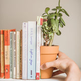 Hand holding a potted plant bookend among books on a surface