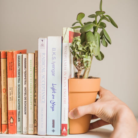 Hand holding a potted plant bookend among books on a surface