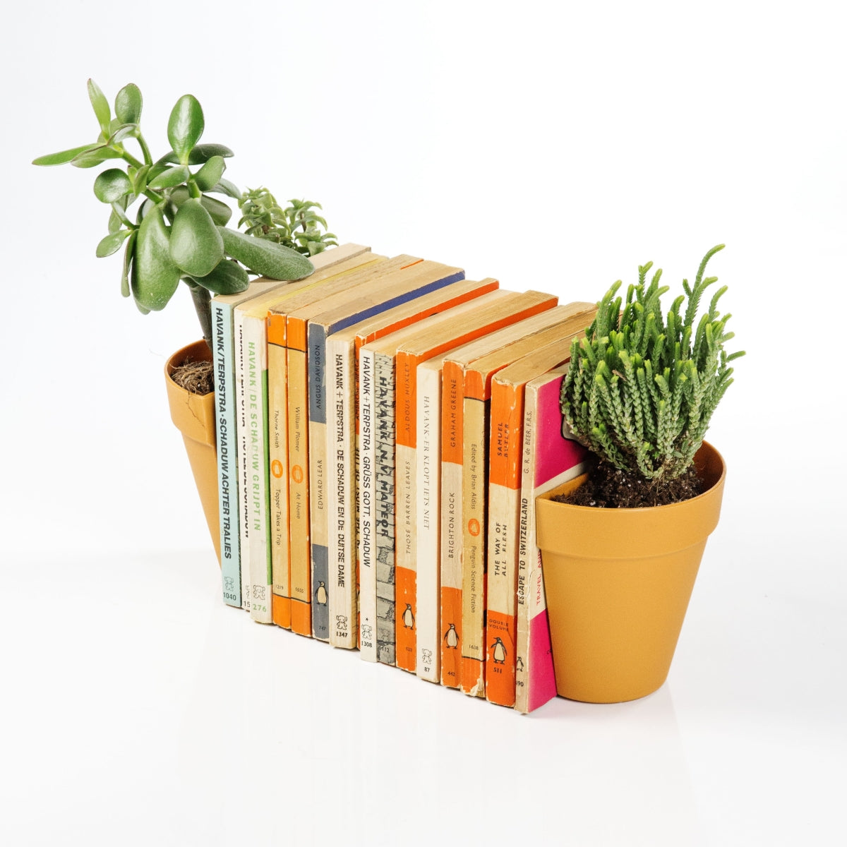 Stack of books with potted plant bookends on a white background