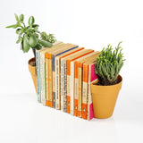 Stack of books with potted plant bookends on a white background