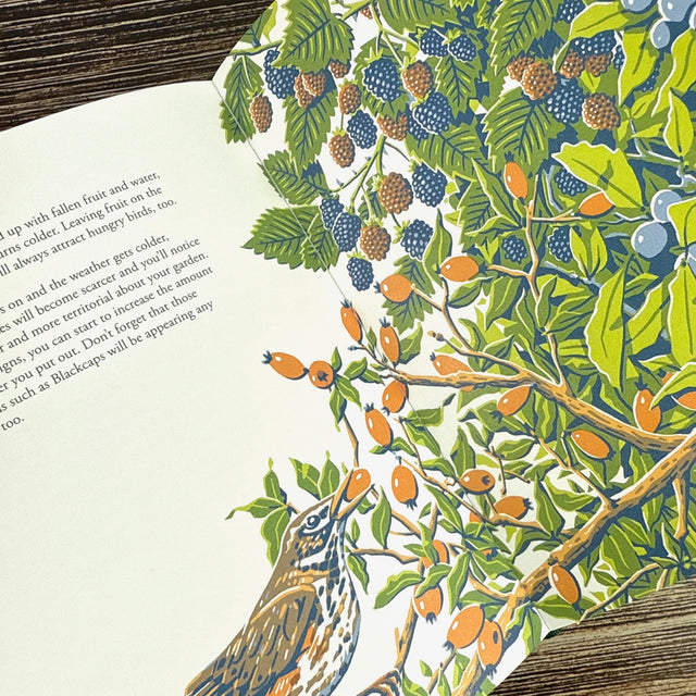 Planting for Garden Birds