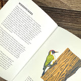 Planting for Garden Birds