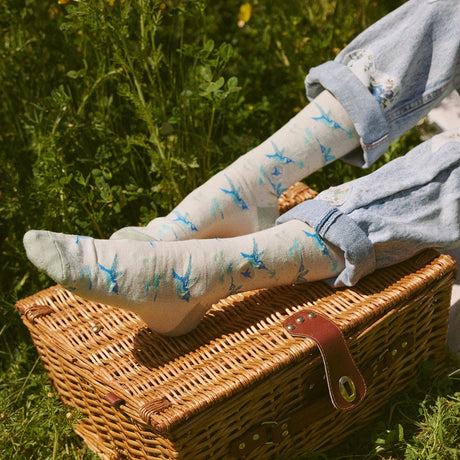 Socks that Protect Pollinators - Hummingbirds