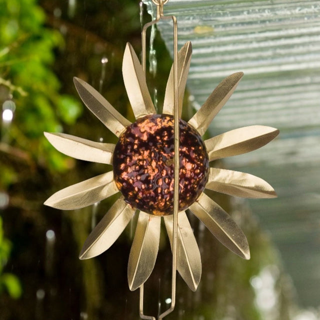 a close up of a single sunflower from the sunflower rain chain with a rainy garden in the background