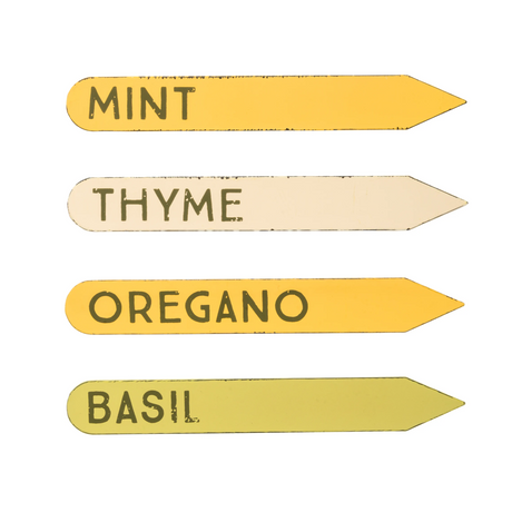 Set of herb labels with names on a white background