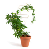 Golden Plant Stake - 4 Styles available