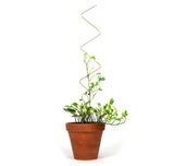 Golden Plant Stake - 4 Styles available