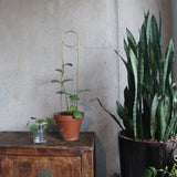 Golden Plant Stake - 4 Styles available